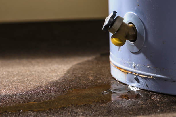 Best Water damage mitigation services  in Covina, CA