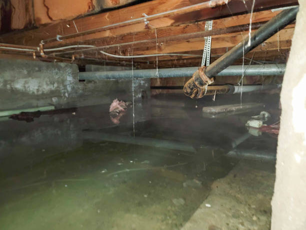 Best Residential water damage restoration  in Covina, CA