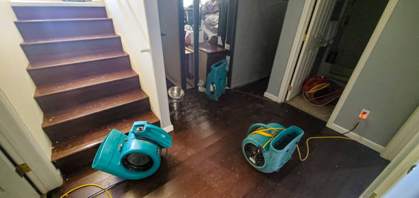 Best Commercial water damage restoration  in Covina, CA
