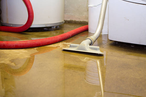 Water damage restoration mold remediation in Covina, CA