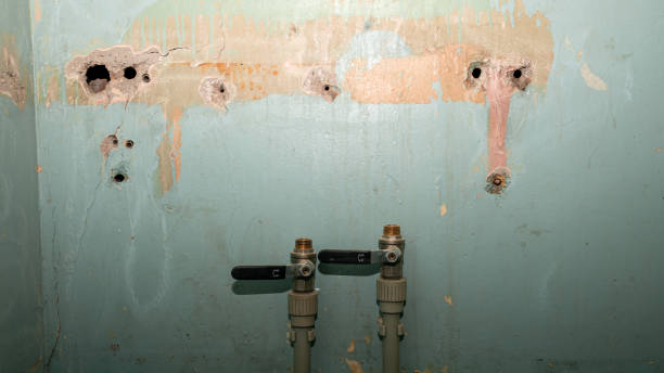 Trusted Covina, CA Water damage restoration Experts